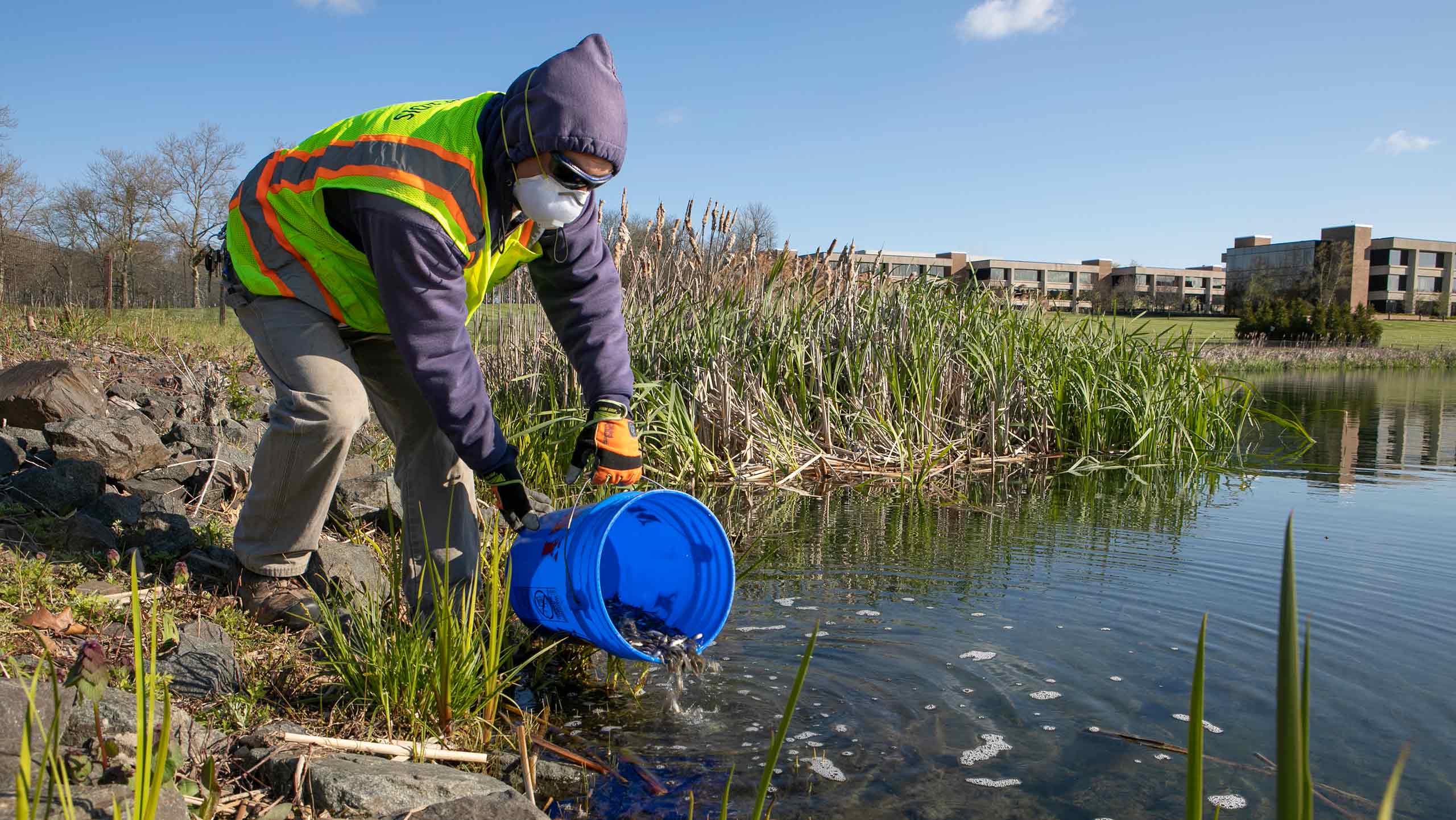 Photo of a man stocking pond with fish